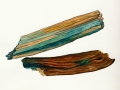 Chlorociboria aeruginascens (Nyl.) C.S. Ramamurthi et al. , Kleinsporiger Grünspanbecherling