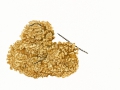 Sparassis crispa (Wulfen: Fr.) Fr. , Krause Glucke
