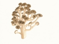 Polyporus  umbellatus (Pers.) Fr. , Ästiger Büschelporling , Eichhase