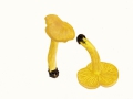 Tricholoma sulphureum  (Bull.:Fr.) Kumm. , Schwefel-Ritterling
