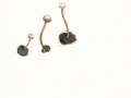 Tulostoma brumale Pers.:Pers. , Winter-Stielbovist , Zitzen-Stielbovist