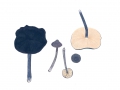 Entoloma nitidum Quél. , Stahlblauer Rötling