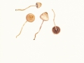 Panaeolus foenisecii  (Pers.:Fr.) J.Schröt. var. foenisecii, Heu-Düngerling