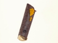 Tremella mesenterica (Retz.: Fr. , Goldgelber Zitterling