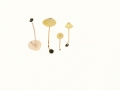Entoloma pleopodium (Bull.:Fr.) Noordel. , Zitronengelber Glöckling , Gelber Bonbon-Rötling