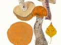 Leccinum versipelle (Fr.) Snell , Birken-Rotkappe