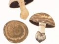 Agaricus subperonatus (J.E.Lange) Singer , Gegürtelter Egerling
