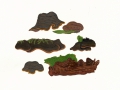 Hymenochaete rubiginosa (Dicks.:Fr.) Lév. , Rotbraune Borstenscheibe