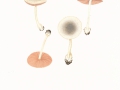 Volvariella murinella (Quél.) Mos. . , Mausgrauer Scheidling , 2