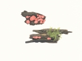 Lycogala epidendrum (L.) Fr. , Blutmilchpilz ,  NPH