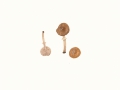 Cyclocybe erebia (Fr.) Singer , Lederbrauner Ackerling