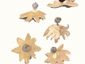 Geastrum pectinatum  Pers. , Kamm-Erdstern