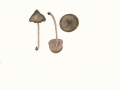 Entoloma araneosum (Quél.) M.M.Mos. , Silberfaseriger Rötling