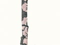 Laeticorticium roseum (Pers.) Donk , Rosafarbener Prachtrindenpilz