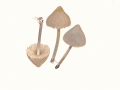 Mycena galericulata (Scop.: Fr.) Quél. , Rosablättriger Helmling