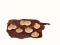 Panellus mitis  (Pers.: Fr.) Singer , Milder Zwergknäueling