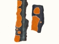 Peniophora incarnata (Pers.: Fr.) Karst. , Fleischroter Zystidenrindenpilz