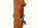 Fuscoporia ferruginosa (Schrad.: Fr.) Murrill , Rostbrauner Feuerschwamm