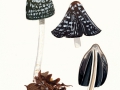 Coprinopsis picacea (Bull.) Redhead et al.  , Specht-Tintling