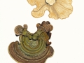 Lenzites betulina (L.: Fr.) Fr. , Birken-Blättling , Buchen-Blättling
