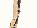 Schizopora paradoxa (Schrad.: Fr.) Donk , Veränderlicher Spaltporling