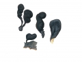 Xylaria polymorpha  (Pers.) Grev. , Vielgestaltige Holzkeule