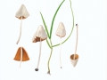 Conocybe albipes (G.H.Otth) Hauskn. , Milchweißes Samthäubchen