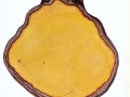 Ganoderma pfeifferi Bres. , Kupferroter Lackporling ,  NPH