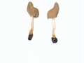 Helvella elastica Bull. , Elastische Lorchel