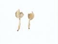 Helvella elastica Bull. , Elastische Lorchel