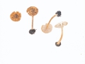 Lepiota castanea  Quél. , Kastanienbrauner Schirmling