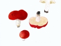 Russula maieri Singer , Buchen-Spei-Täubling