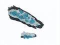 Chlorociboria aeruginascens  (Nyl.) Ramamurthi et al.  , Kleinsporiger Grünspanbecherling , NPH