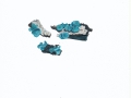 Chlorociboria aeruginascens  (Nyl.) Ramamurthi et al. , Kleinsporiger Grünspanbecherling , NPH