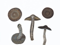 Cortinarius (Tel.) brunneus (Pers.: Fr.) Fr. , Dunkelbrauner Gürtelfuß , NPH
