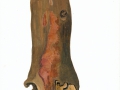 Ceriporia purpurea (Fr.) Donk , Purpurfarbener Wachsporling