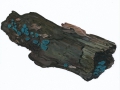 Chlorociboria aeruginascens (Nyl.) Ramamurthi et al. , Kleinsporiger Grünspanbecherling ,  NPH