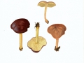 Gymnopus ocior (Pers.) Antonín & Noordel. , Gelbblättriger Blasssporrübling