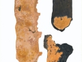 Phanerochaete filamentosa  (Berk. & M.A.Curtis) Parmasto , Fransiger Zystidenrindenpilz