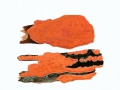 Rhodonia placenta (Fr.) Niemelä , K.H.Larss & Schiegel , Rosafarbener Saftporling , NPH