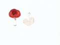 Russula emeticolor Jul.Schäff. , Zinnoberroter Reif-Täubling , KLeiner Zinnober-Täubling , NPH