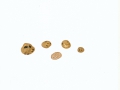 Tuber spec. 2