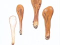 Clavariadelphus pistillaris (L.: Fr.) Donk , Herkuleskeule , Herkules-Riesenkeule , NPH