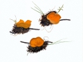 Aleuria scotica (Graddon) J.Moravec , Orangefarbener Kurzhaarborstling , NPH