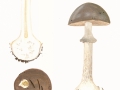 Amanita porphyria Alb. & Schwein.: Fr. , Porphyrbrauner Wulstling ,  NPH