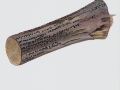 Melogramma bulliardii Tul. & C. Tul. , Sichelsporiger Pustelpilz