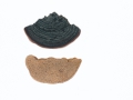 Phellinus pini (Brot.:Fr.) A. Ames , Kiefern-Feuerschwamm