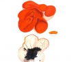 Aleuria aurantia (Pers.:Fr.) Fuck. , Orangebecherling , NPH
