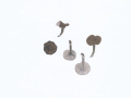 Entoloma serrulatum (Fr.) Hesler , Gesägtblättriger Zärtling , Schwarzblauer Rötling , NPH