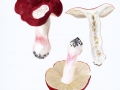 Russula xerampelina  (Schaeff.) Fr. , Herings-Täubling , Roter Herings-Täubling